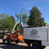Tree Removals Fort Collins, Wellington, Windsor & Loveland, CO